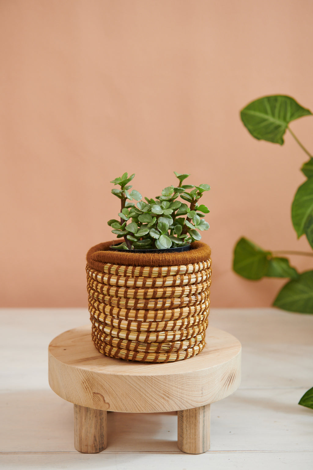 Handwoven Moroccan Planter Basket Palm Spice