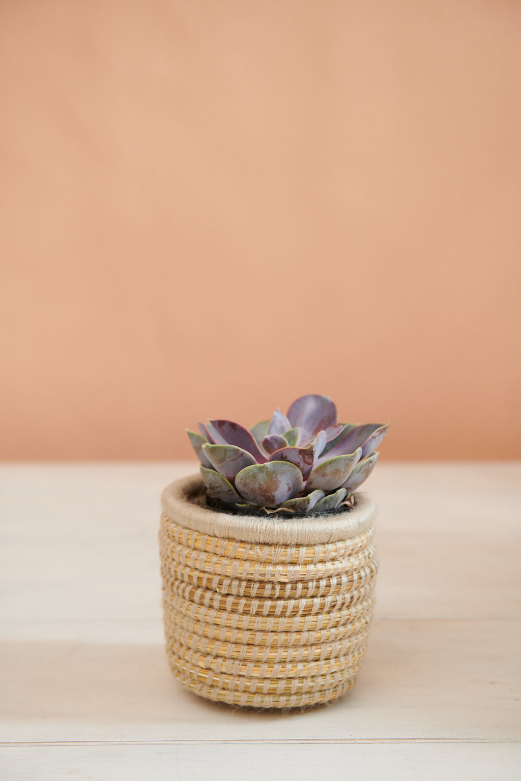 Handwoven Moroccan Planter Basket Palm Sand