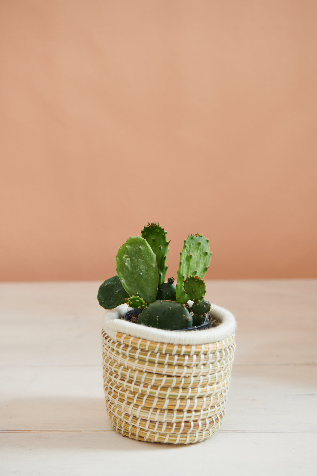 Handwoven Moroccan Planter Basket Palm Ivory