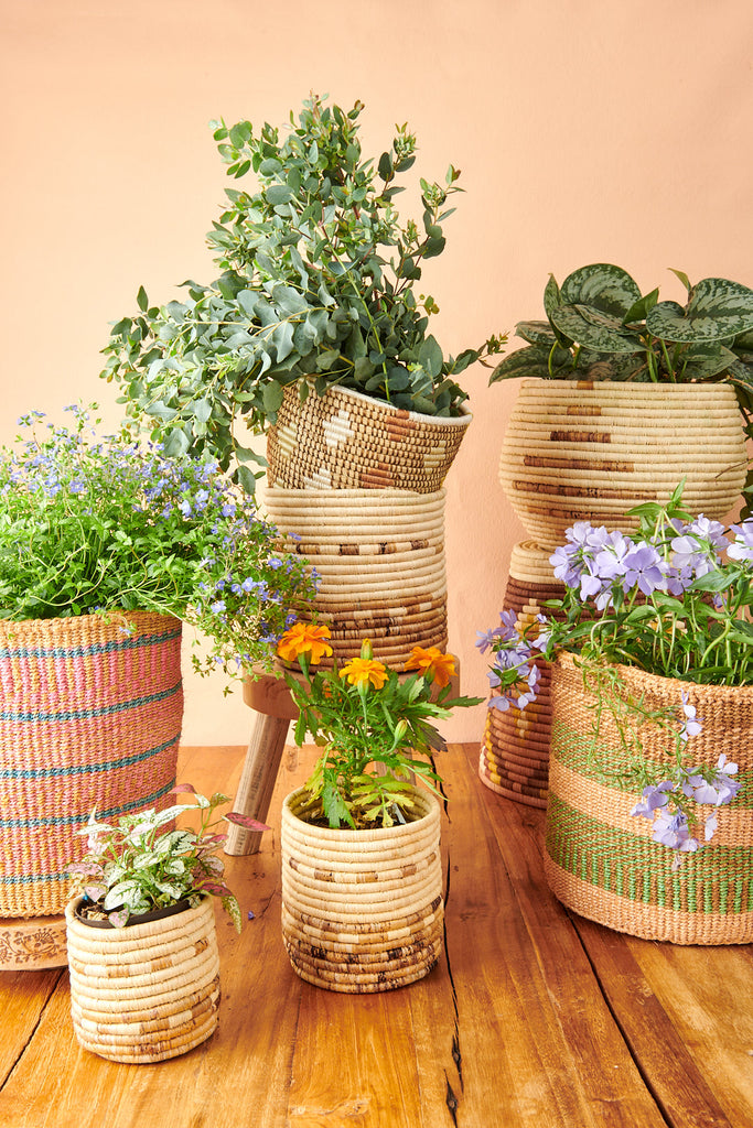 Vases, Pots + Planters