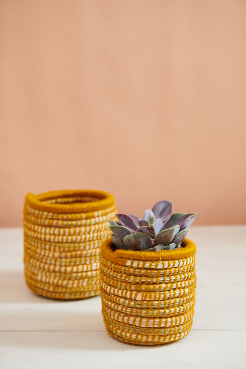 small basket plant pots Handwoven Moroccan Planter Basket Palm Honey – Tribe