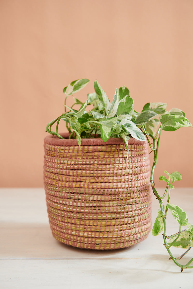 small woven plant basket Handwoven Moroccan Planter Basket Palm Blush – Tribe
