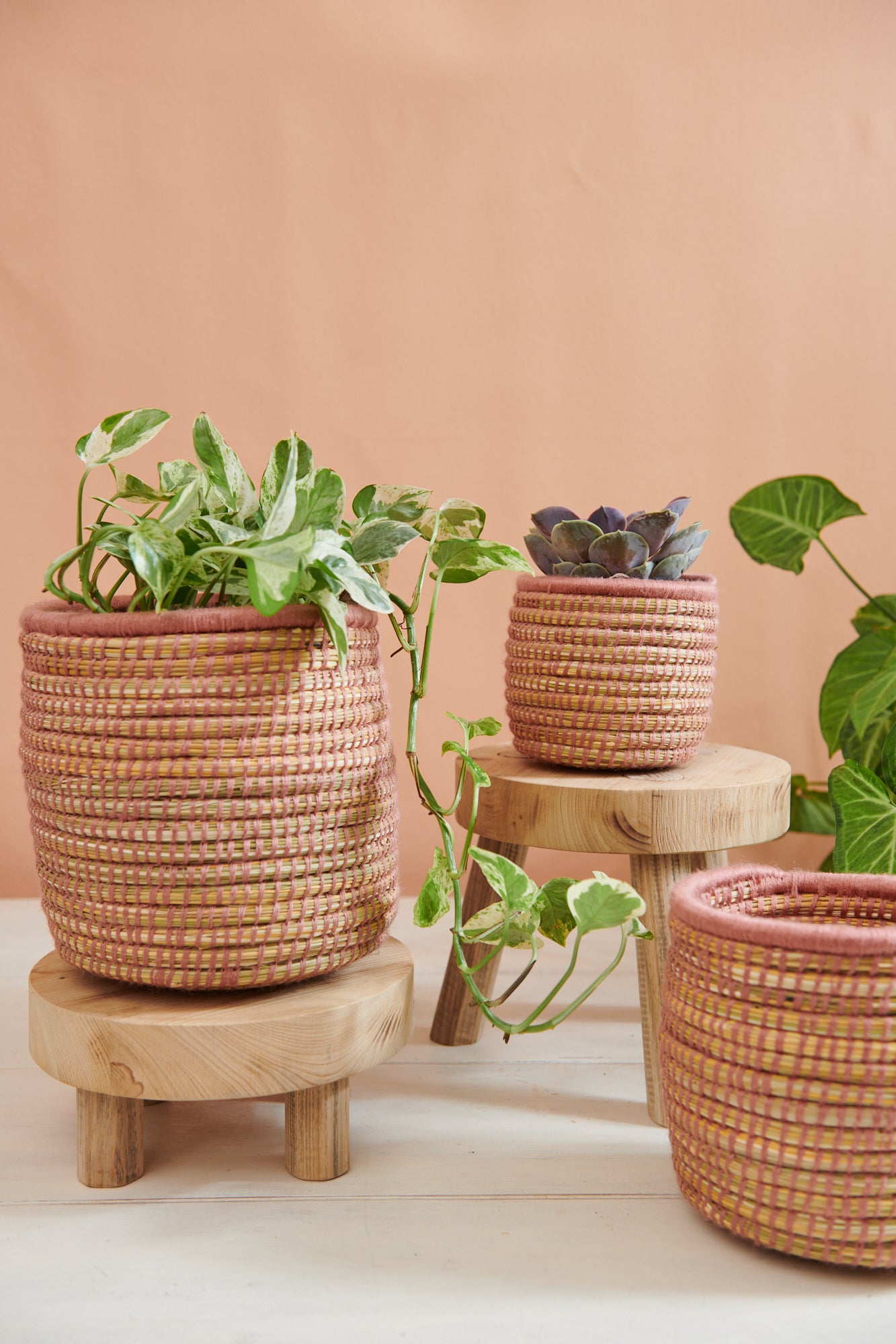 moroccan plant pot Handwoven Moroccan Planter Basket Palm Blush – Tribe