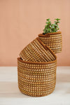 Handwoven Moroccan Planter Basket Palm Spice