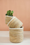 Handwoven Moroccan Planter Basket Palm Ivory