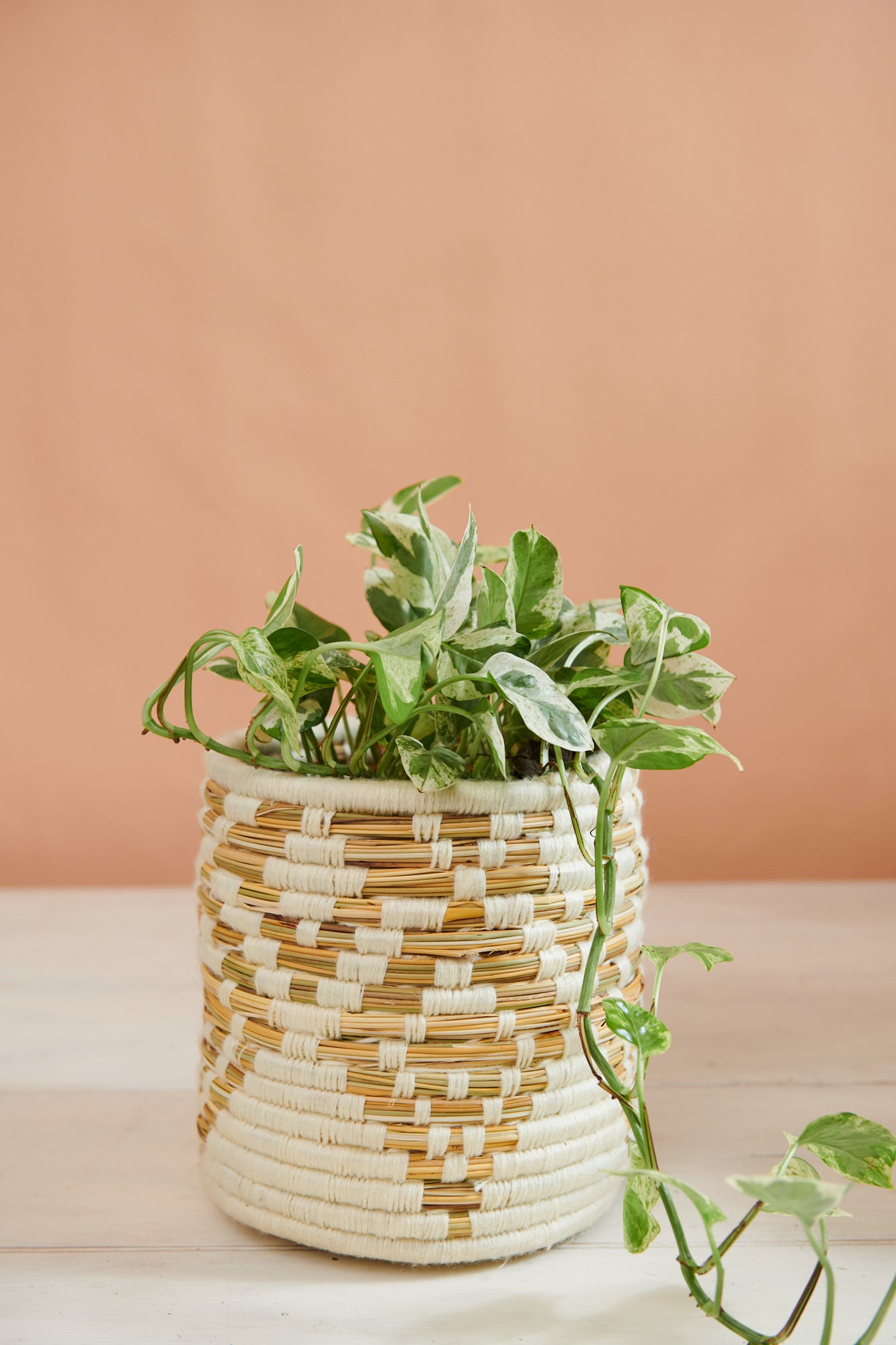 moroccan hanging planter Handwoven Moroccan Planter Basket Ikat Ivory – Tribe