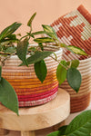 Handwoven Planter Basket Sunset Stripe