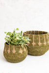 Handwoven Planter Basket Grass