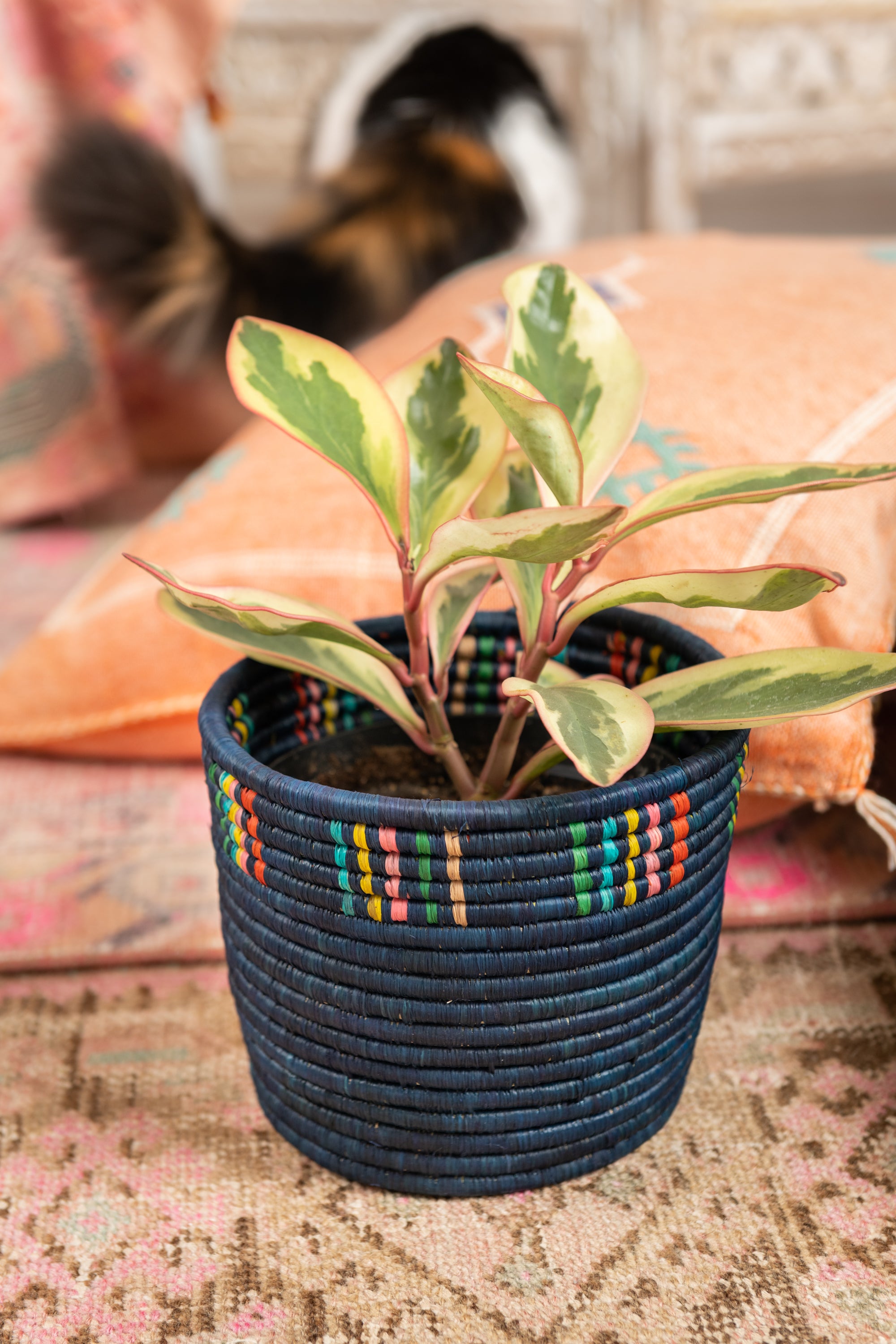 indigo plant pots Handwoven Planter Basket Indigo Confetti