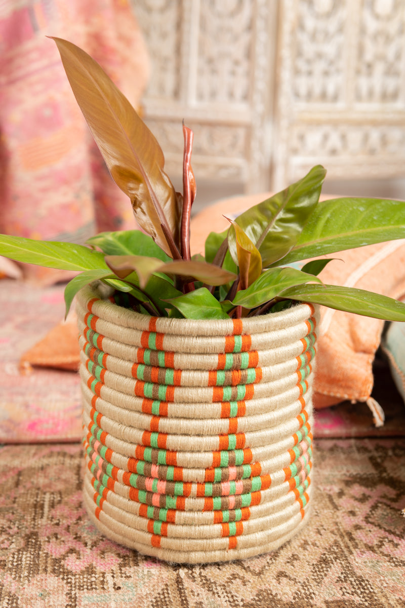 Tropics Handwoven Moroccan Planter Basket