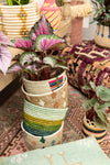 Handwoven Planter Basket Green Stripe