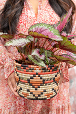 Handwoven Raffia Planter Baskets