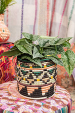 Handwoven Planter Basket Blush + Green