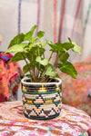 Handwoven Planter Basket Blush + Green